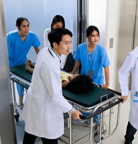 Stretcher Elevator In Noida